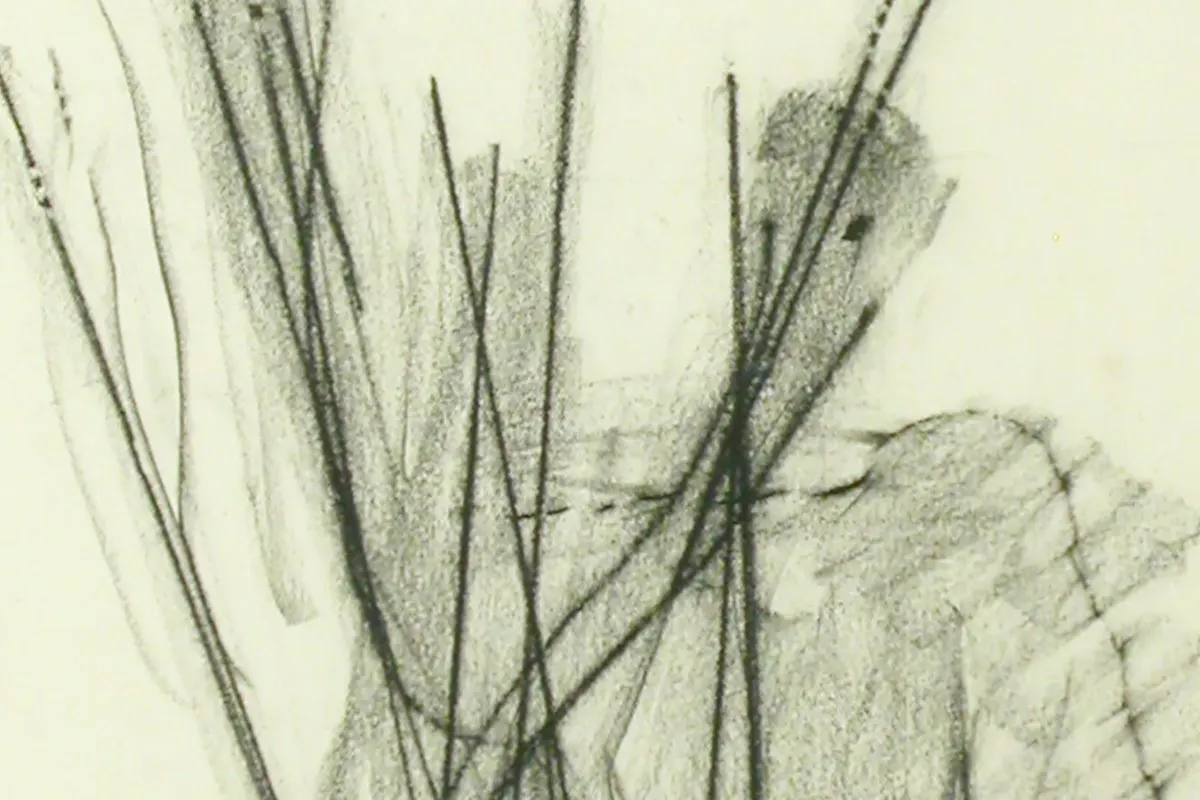 Chalk drawing of a shadowy figure behind a composition of vertical lines