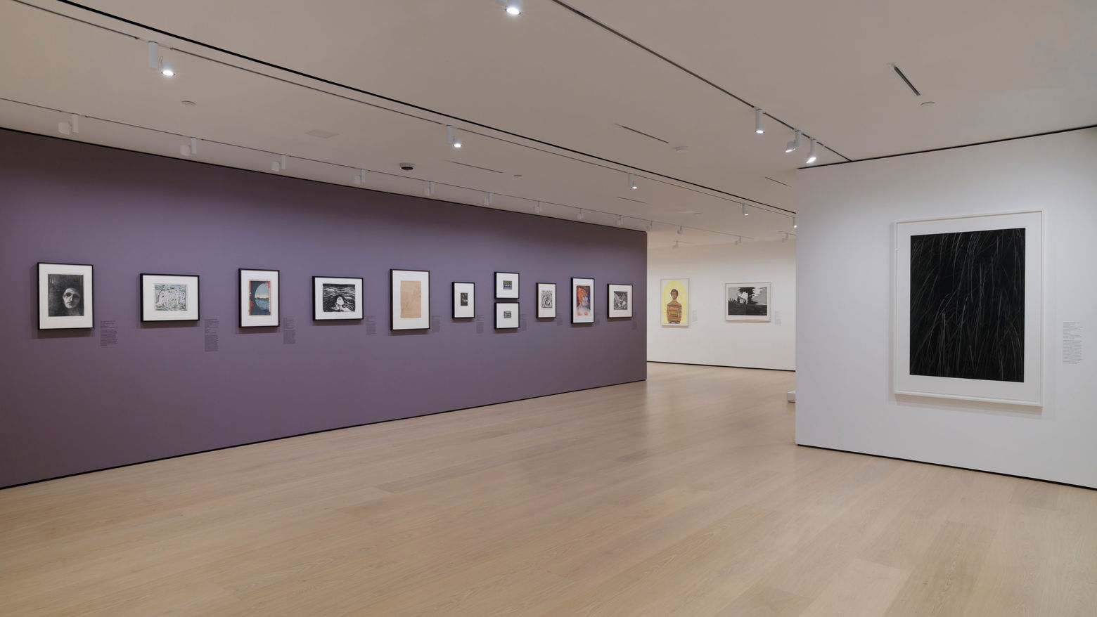 A purple gallery wall with a series of framed pieces of works on paper