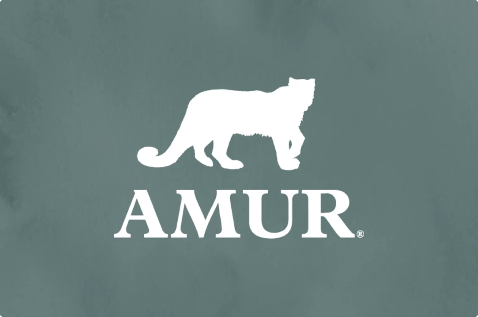 How Amur became a true learning organization with Go1