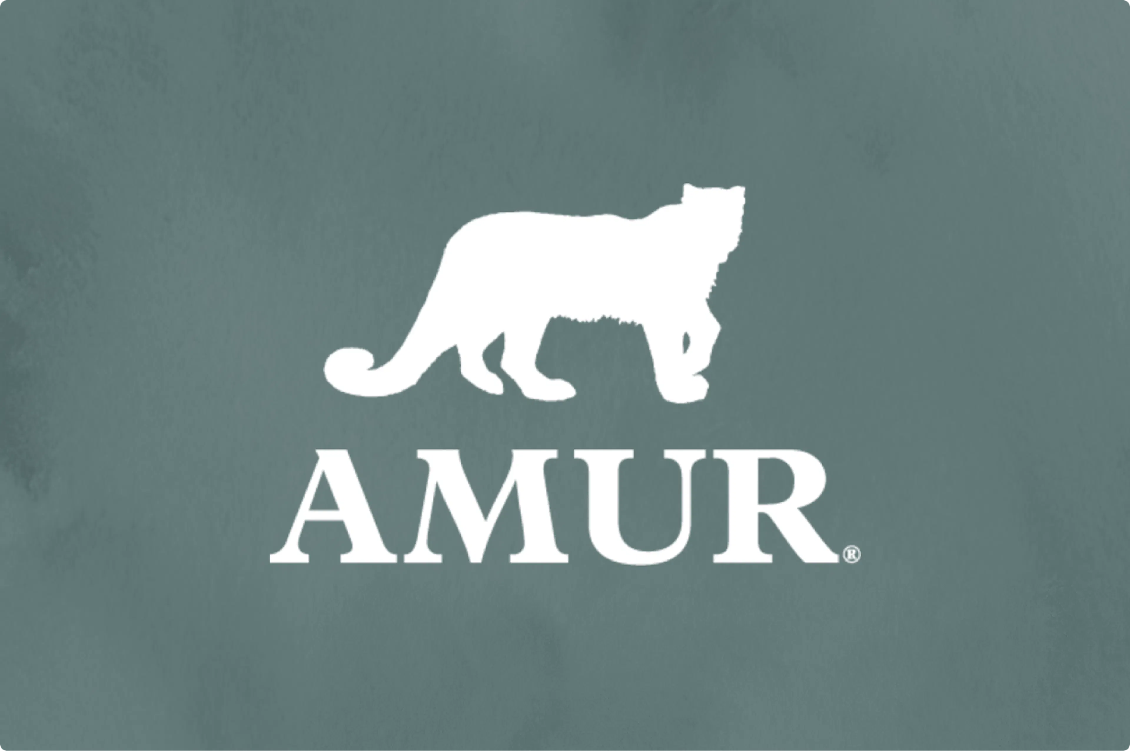 How Amur became a true learning organization with Go1