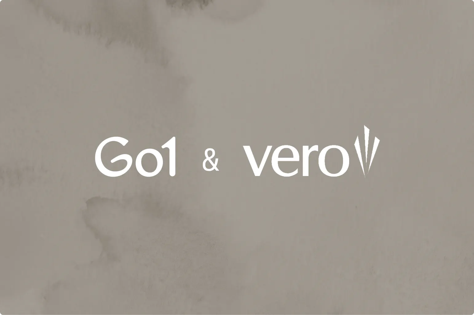 Vero and Go1: A true partnership