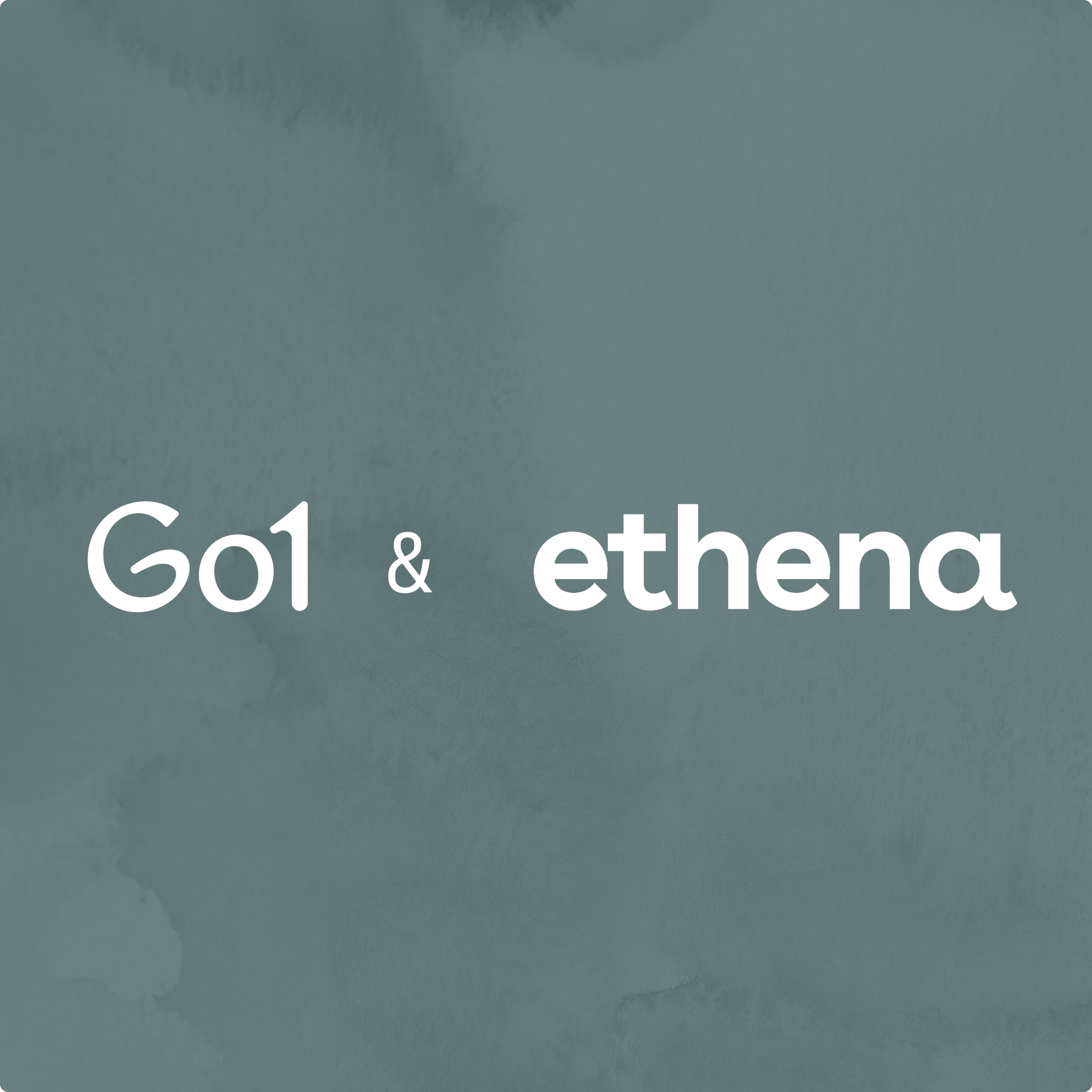 Ethena | Go1