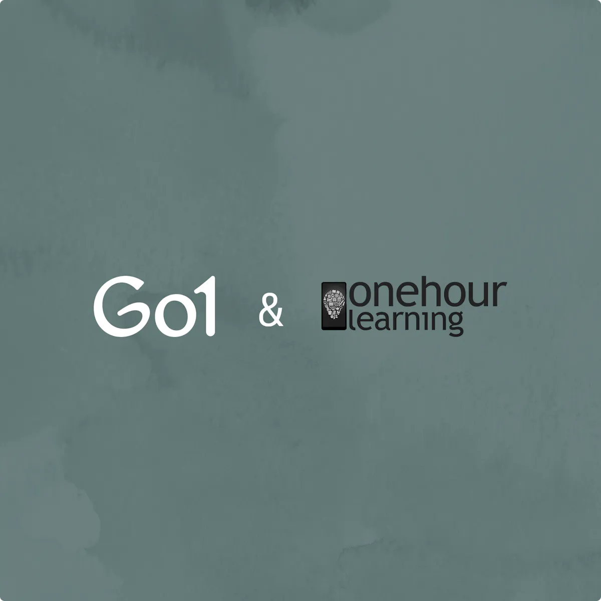 onehourlearning | Go1