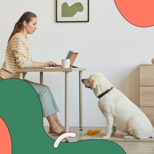 Female worker at desk with dog watching