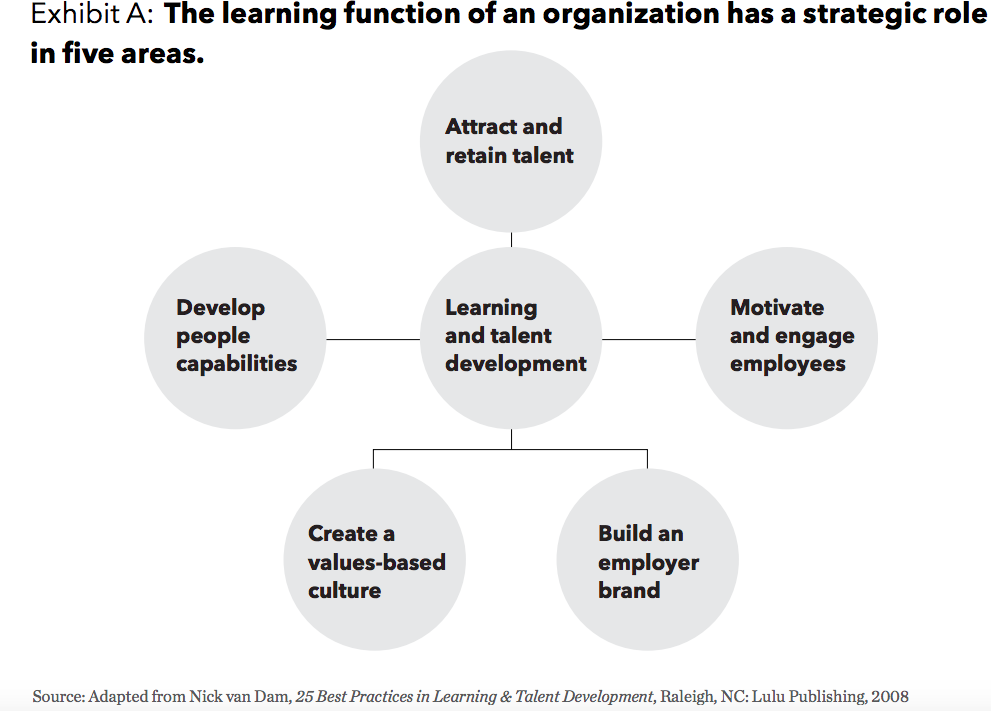 The Positive Impact Of Learning And Development On Organisations