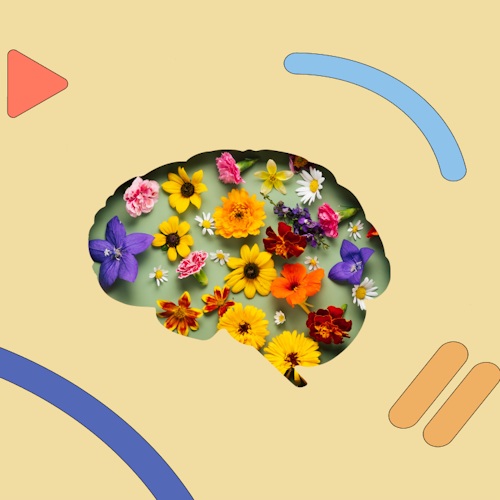 silhouette of a human brain with wildflowers inside it
