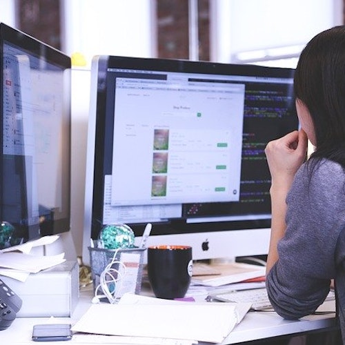 Office worker sitting at her desk looking at two computer screens. 