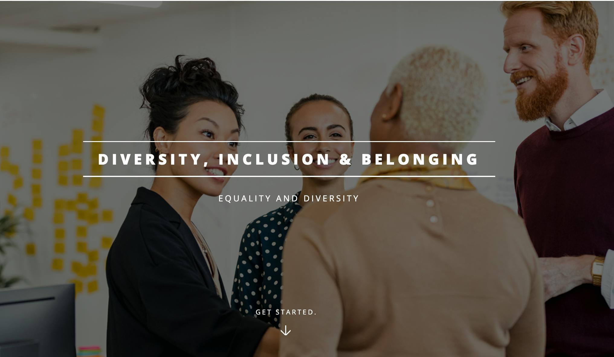 Diversity, Inclusion and Belonging