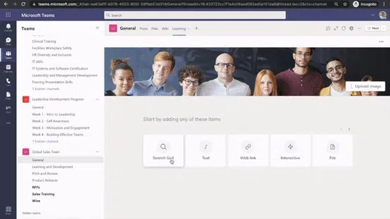 Microsoft interface