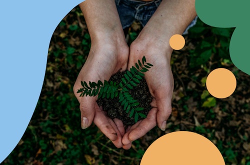 Hands holding a pile of dirt with a plant growing out of it