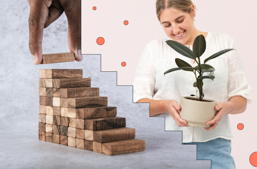 Person holding a small pot plant