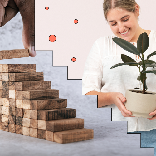 Person holding a small pot plant