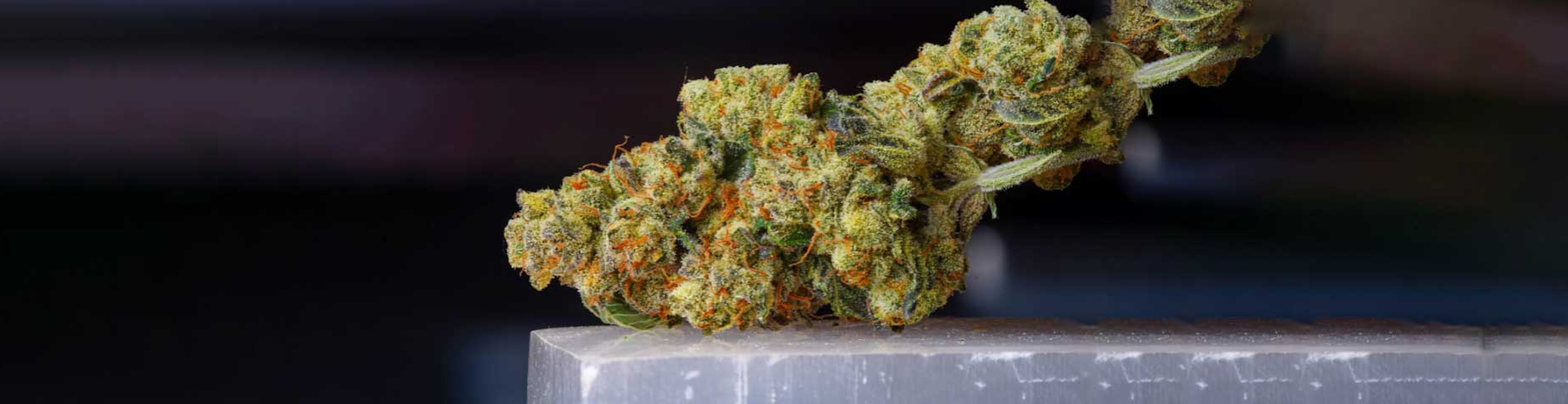 Top 5 Cannabis Strains for Relaxation and Sleep from Goat Global