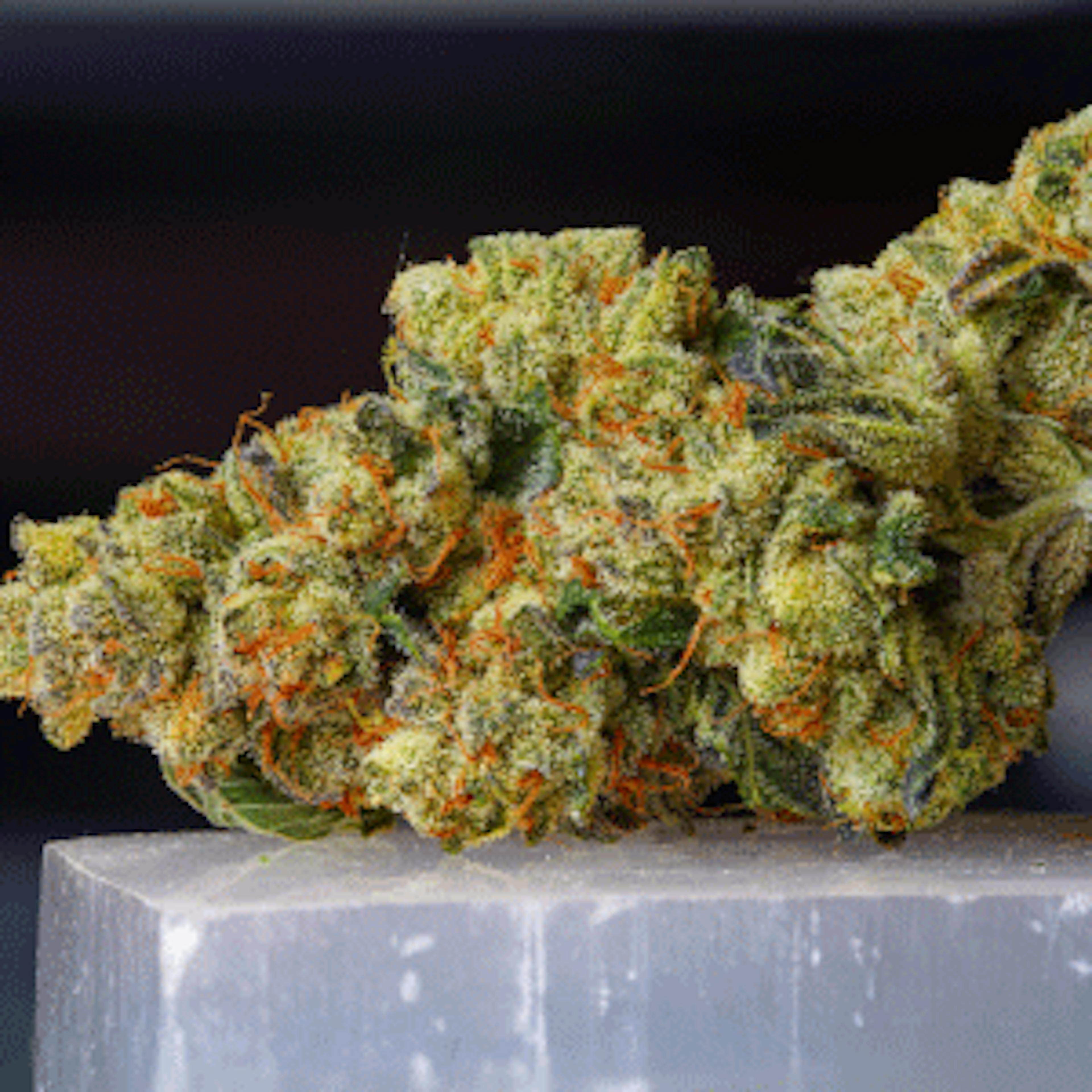 Top 5 Cannabis Strains