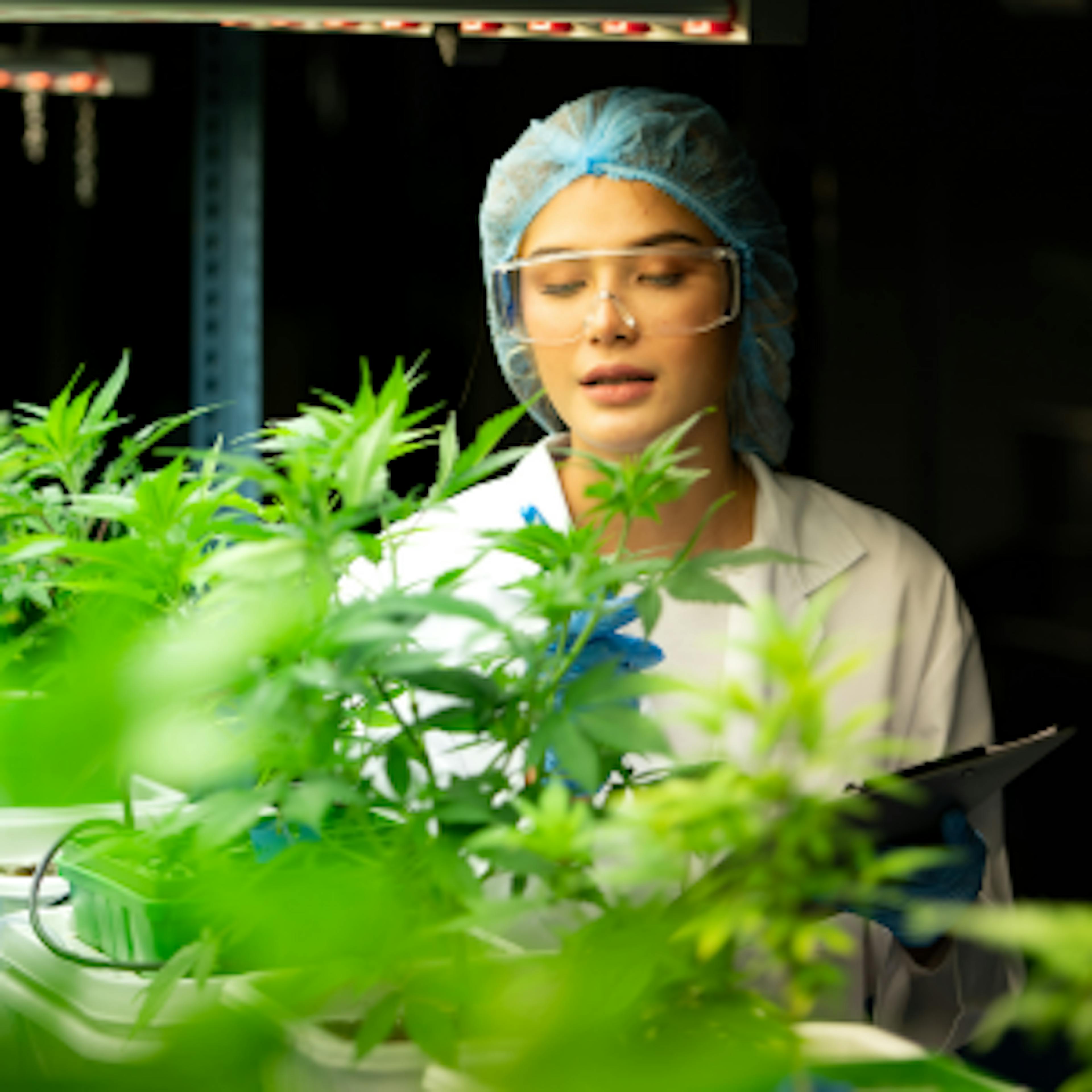 Cannabis Can Enhance Your Self-Care Routine
