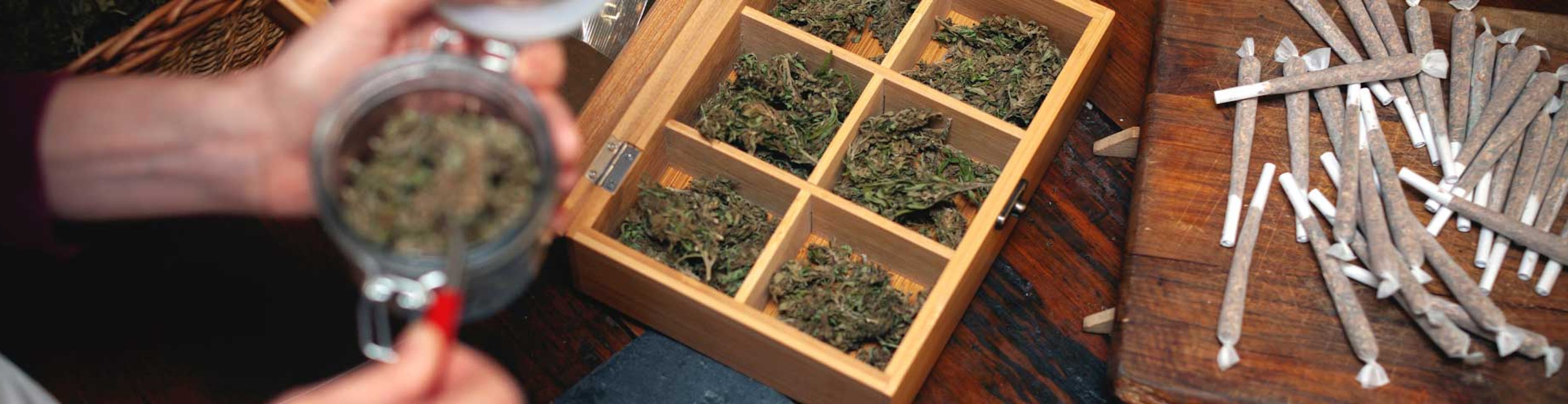 How to Properly Store Your Cannabis Products for Maximum Potency