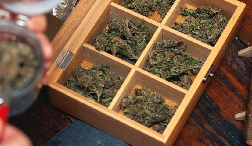 How to Properly Store Your Cannabis Products for Maximum Potency