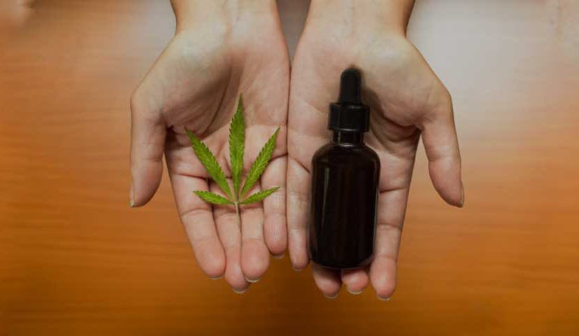 The Science Behind CBD vs. THC: What You Need to Know