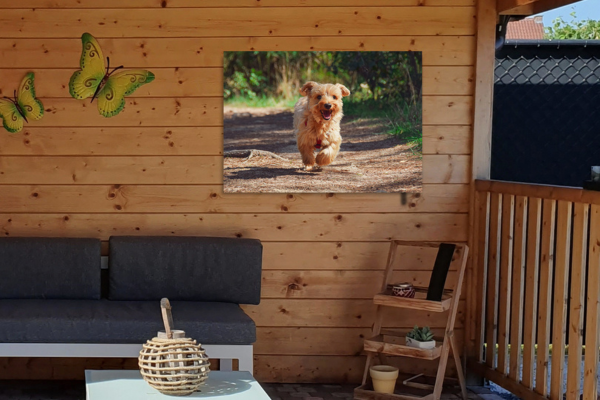 Kleine tuinposter