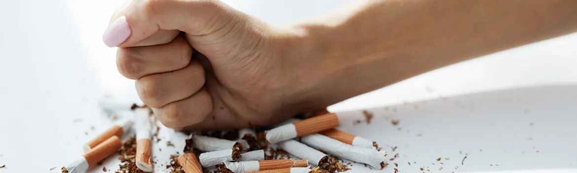 cigarette websites Browse thousands of Cigarette Website images for design inspiration cigarette websites Browse thousands of Cigarette Website images for design inspiration