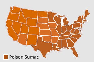 Map of where poison sumac grows