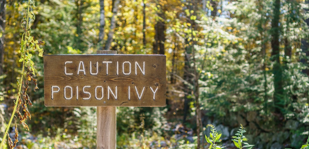 5 Fast Facts About Poison Ivy, Poison Oak and Poison Sumac GoHealth