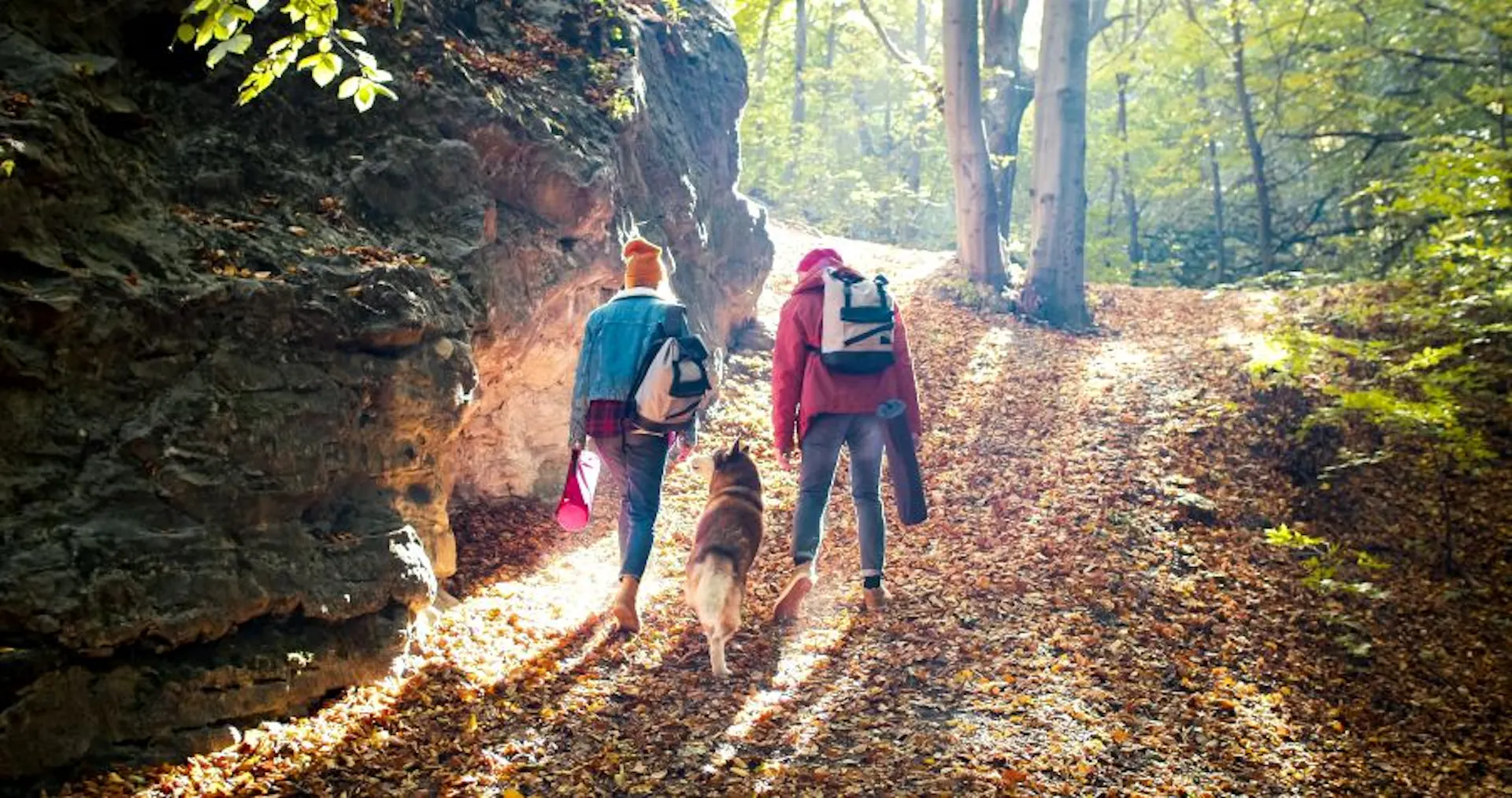 A family hiking together with their dog 