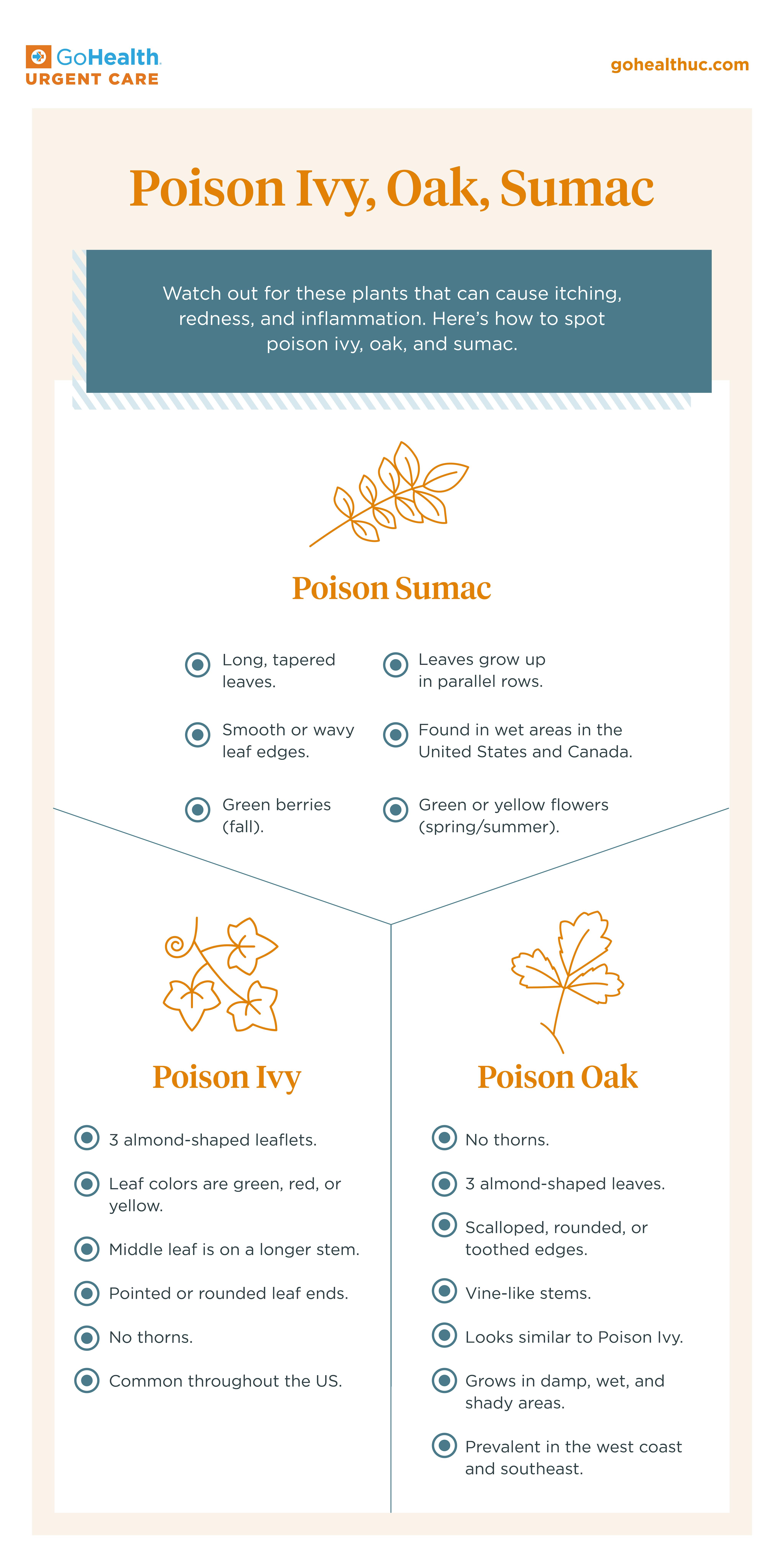 Poison Ivy, Oak & Sumac