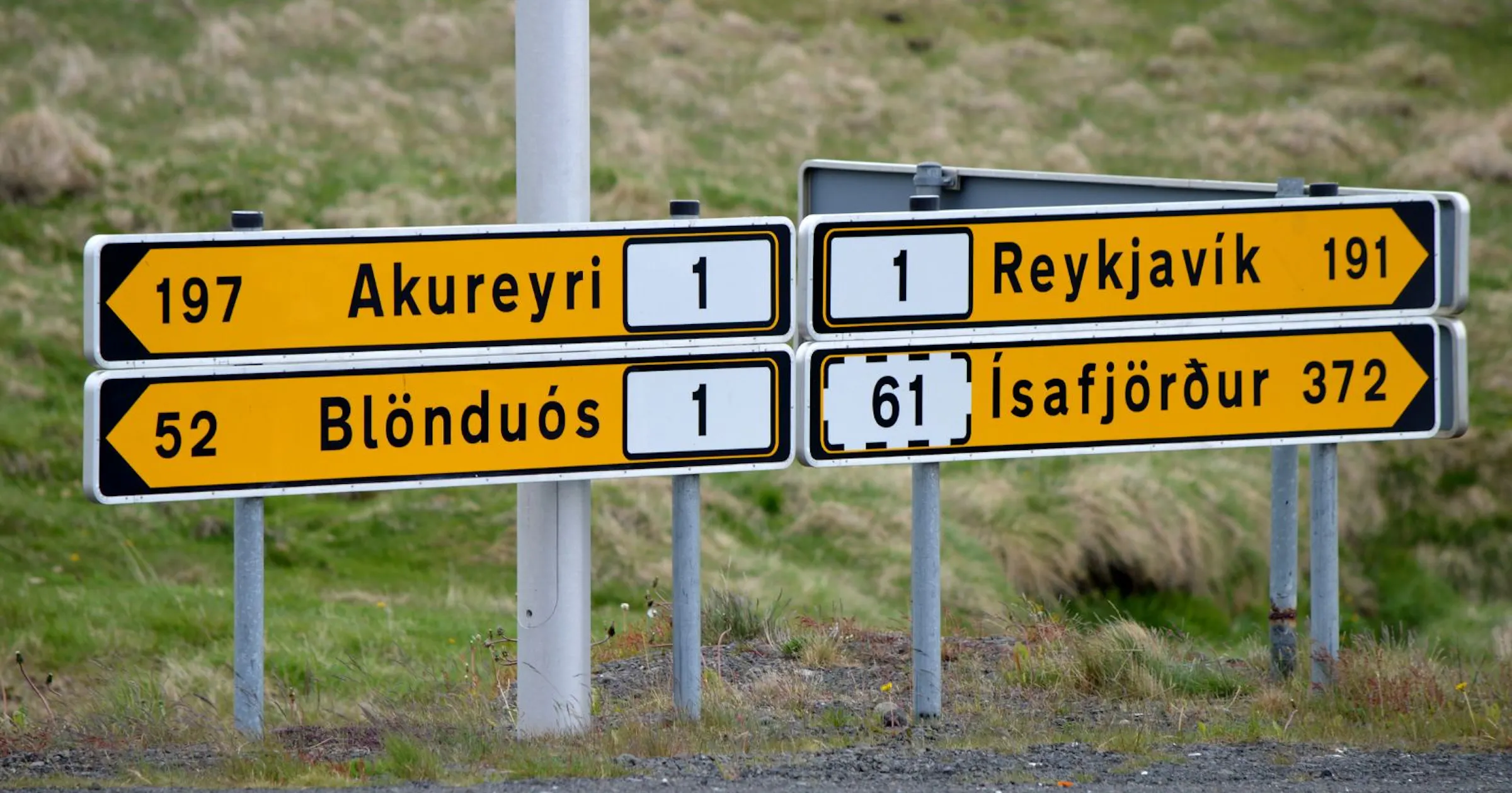 Icelandic As Second Language | Icelandic Online for Children Launched ...