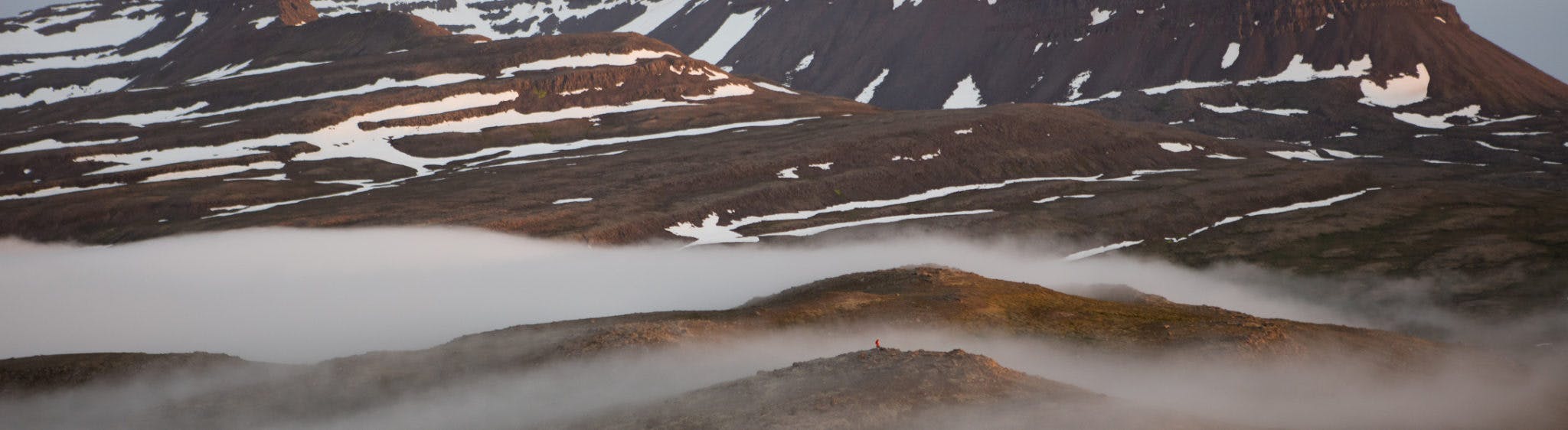 Icelandic food