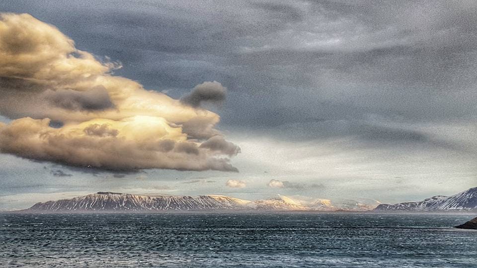 The Icelandic storm Diddú