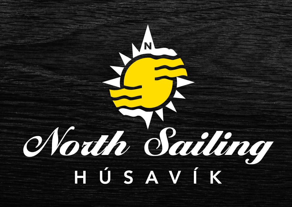 Whale watching in Húsavík, North Iceland