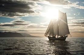 Whale watching in northeast of Iceland