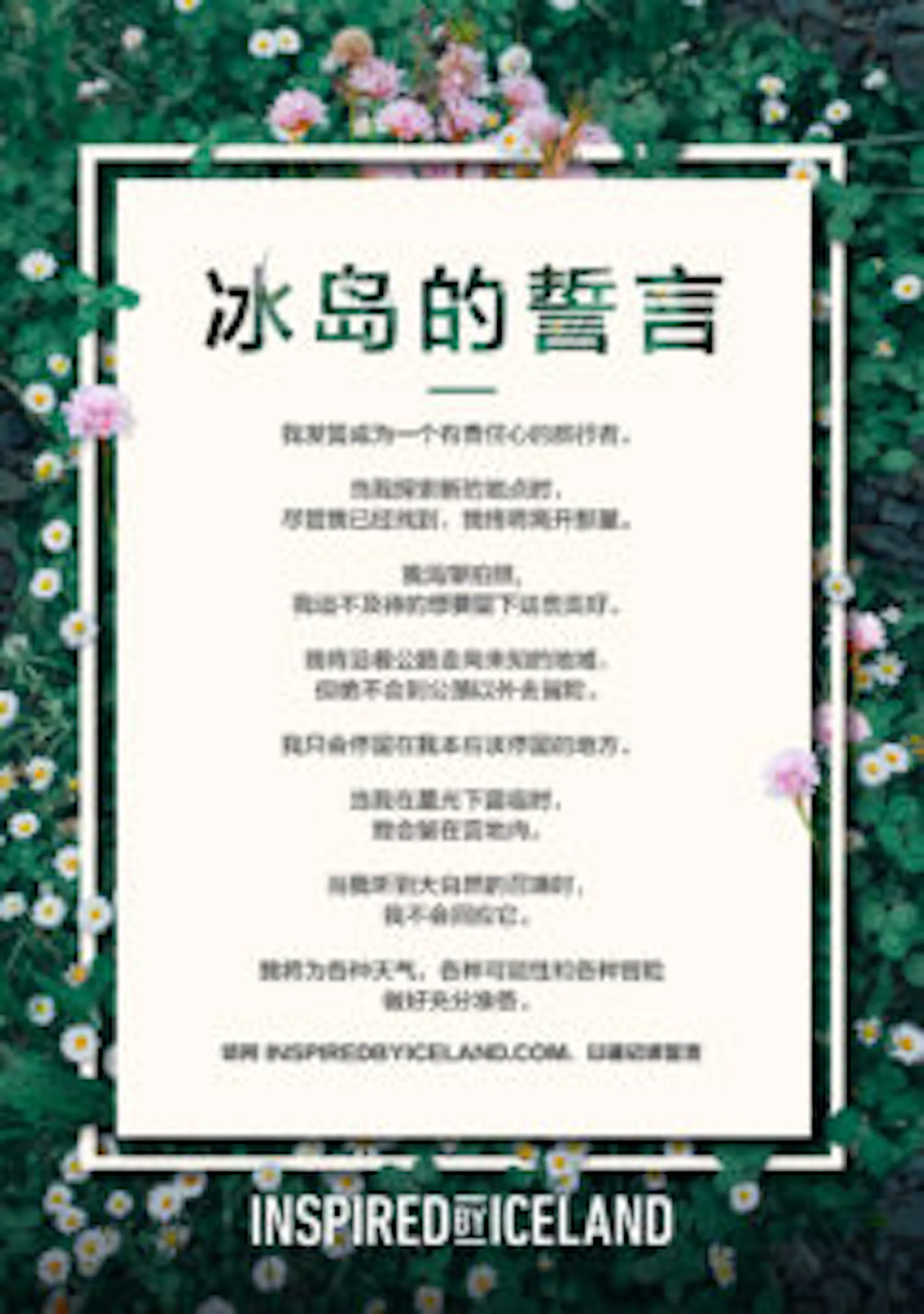 The Icelandic Pledge in Chinese - 冰岛承诺