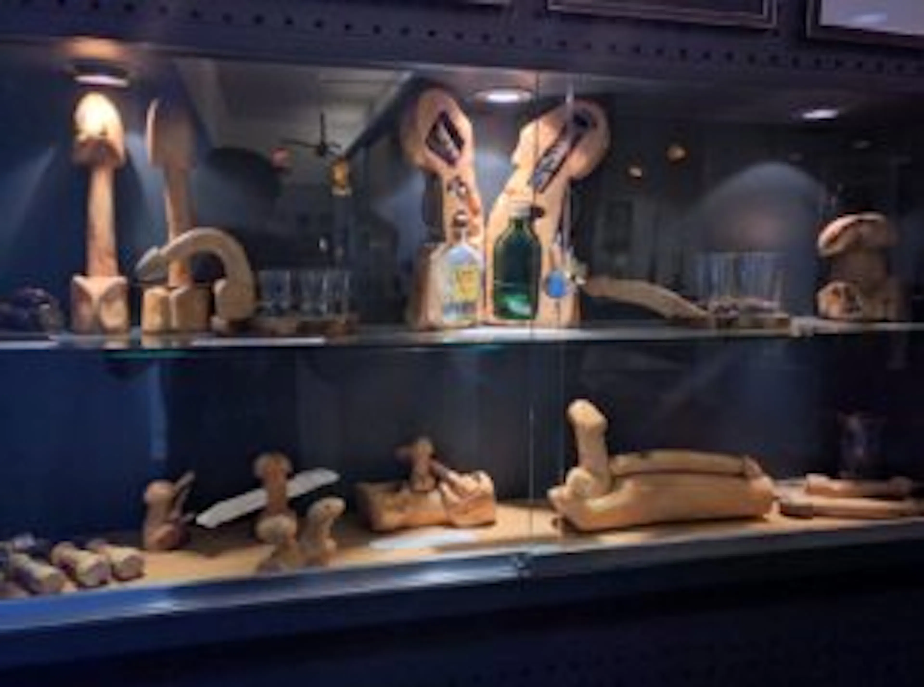 The Icelandic Phallological Museum