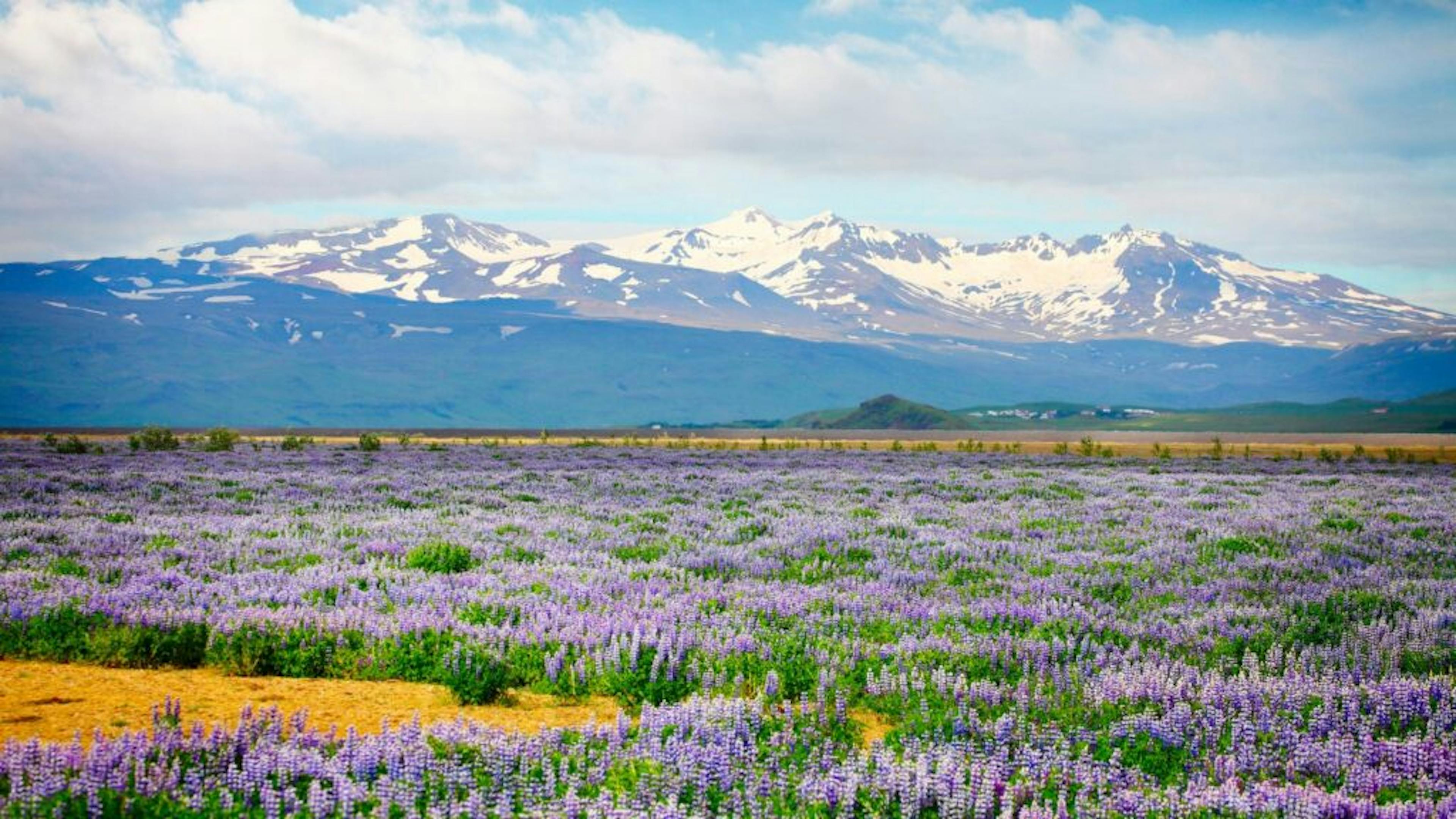 Mountains with Katla volcano in Iceland.