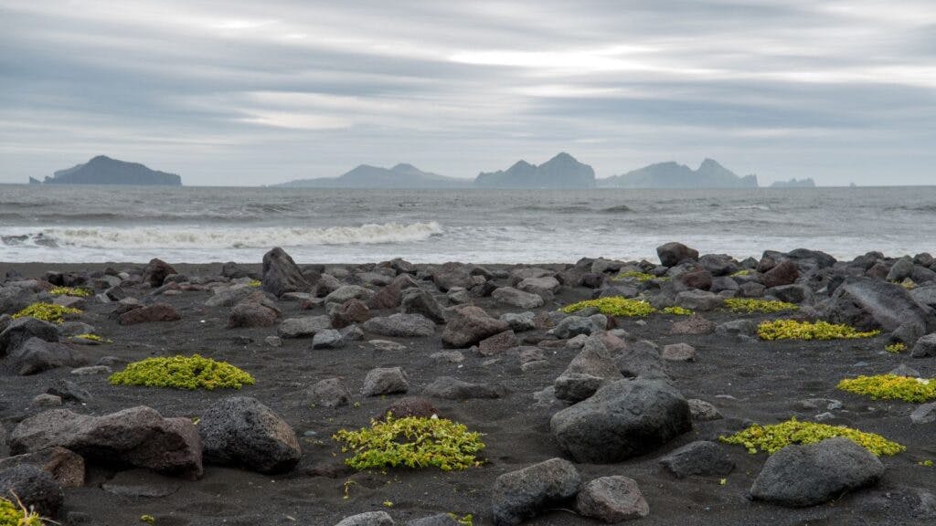 Surtsey Island in Iceland.