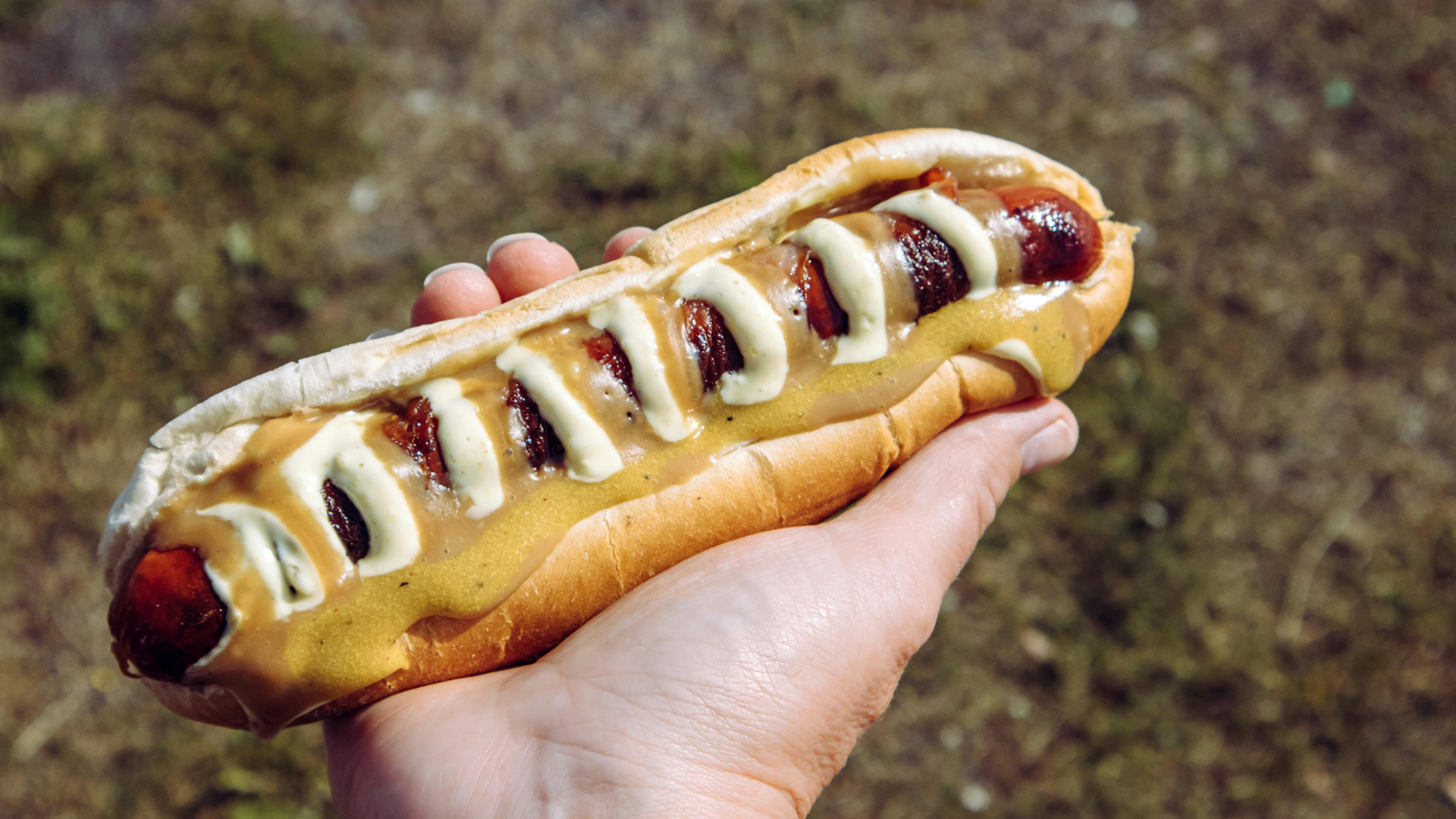 A person holding an Icelandic hot dog.