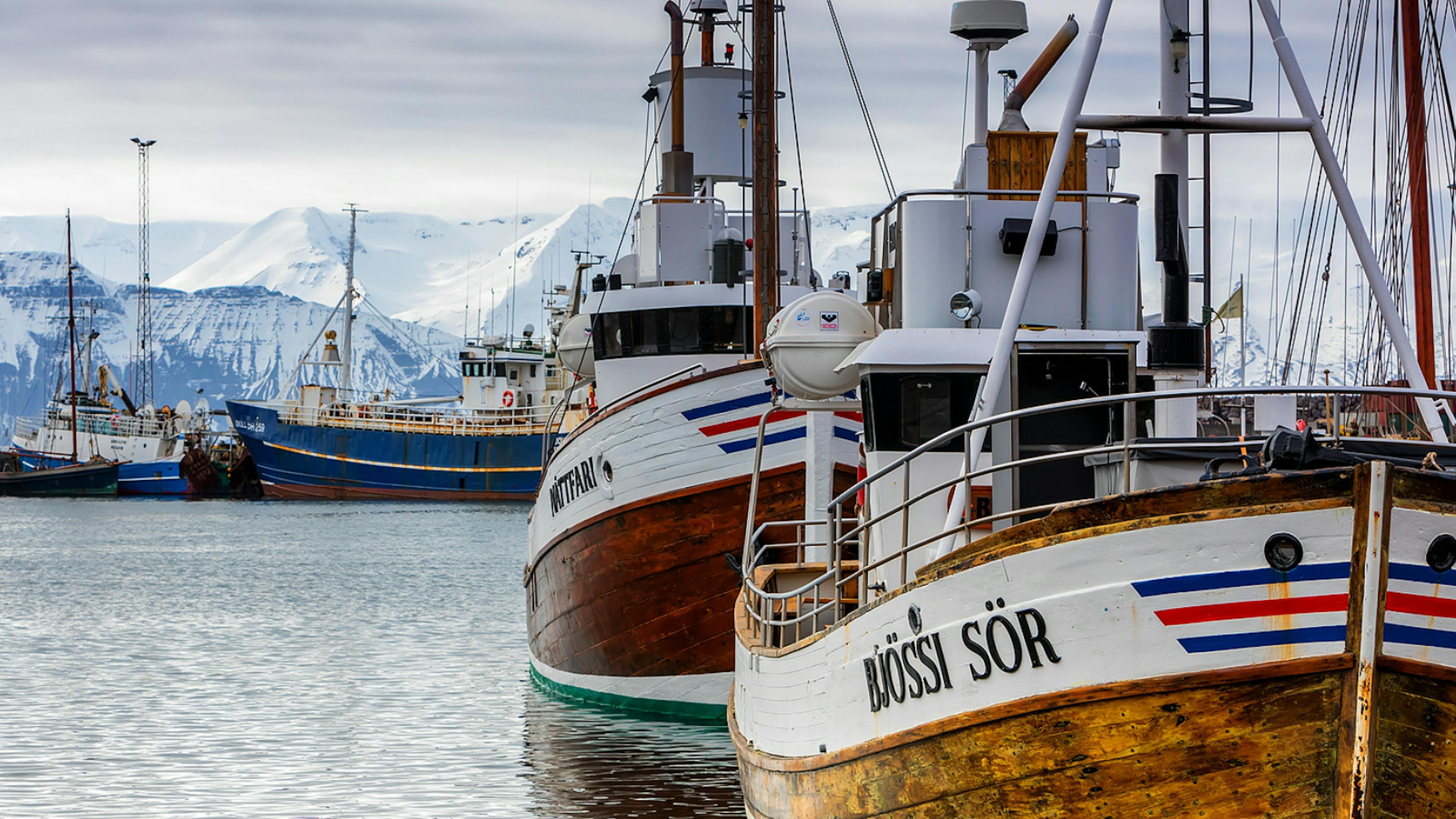 Whale watching boats in Húsavík.
