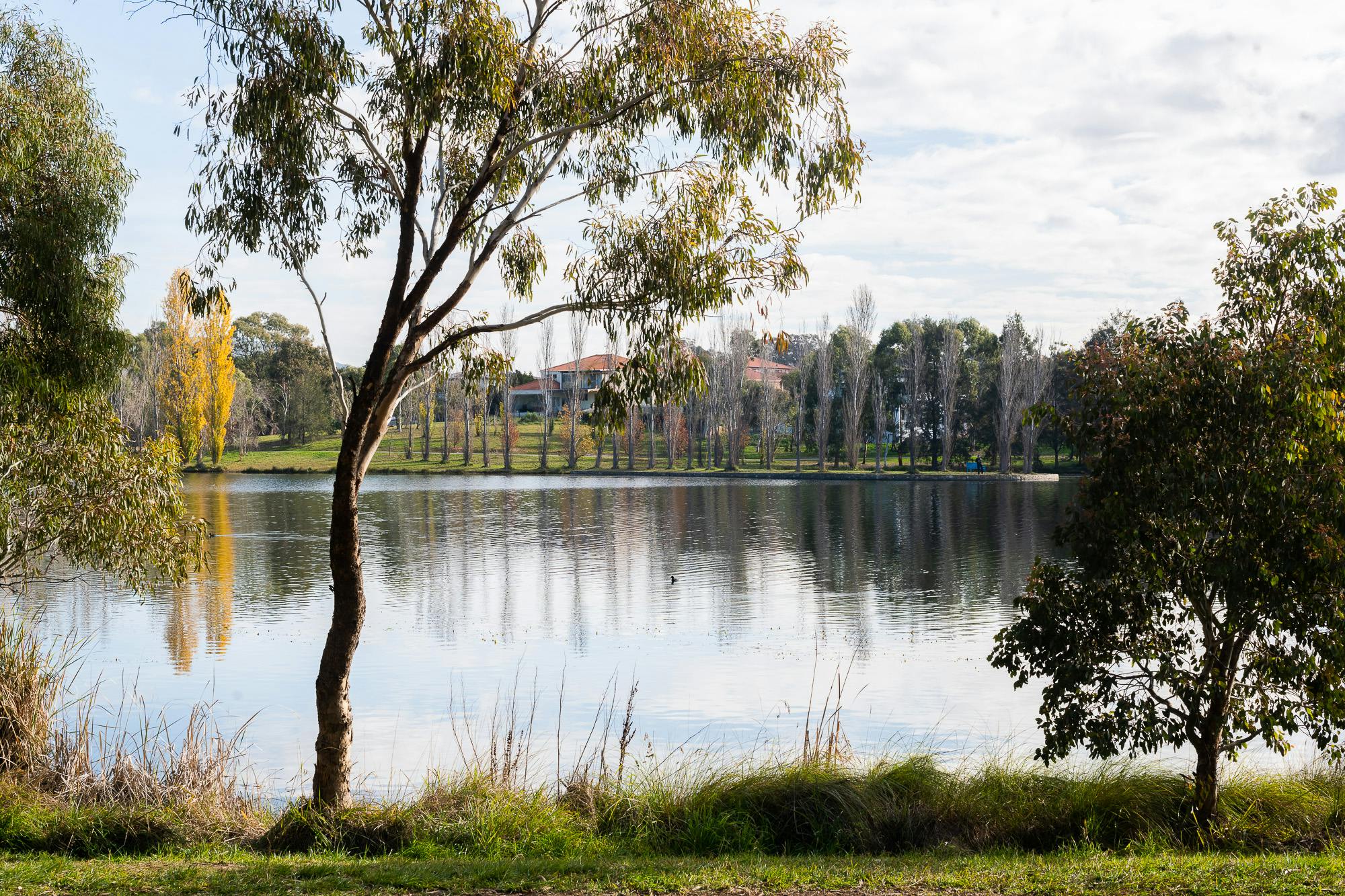 Yerrabi Pond
