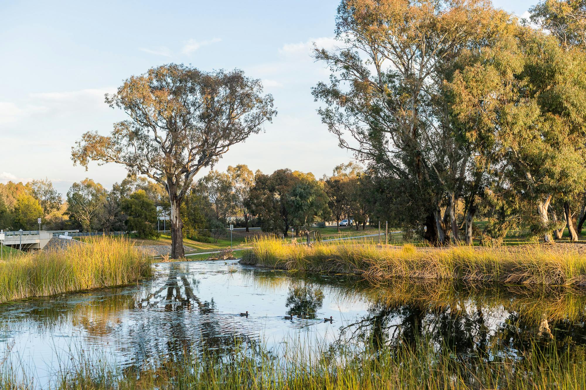 Casey Pond