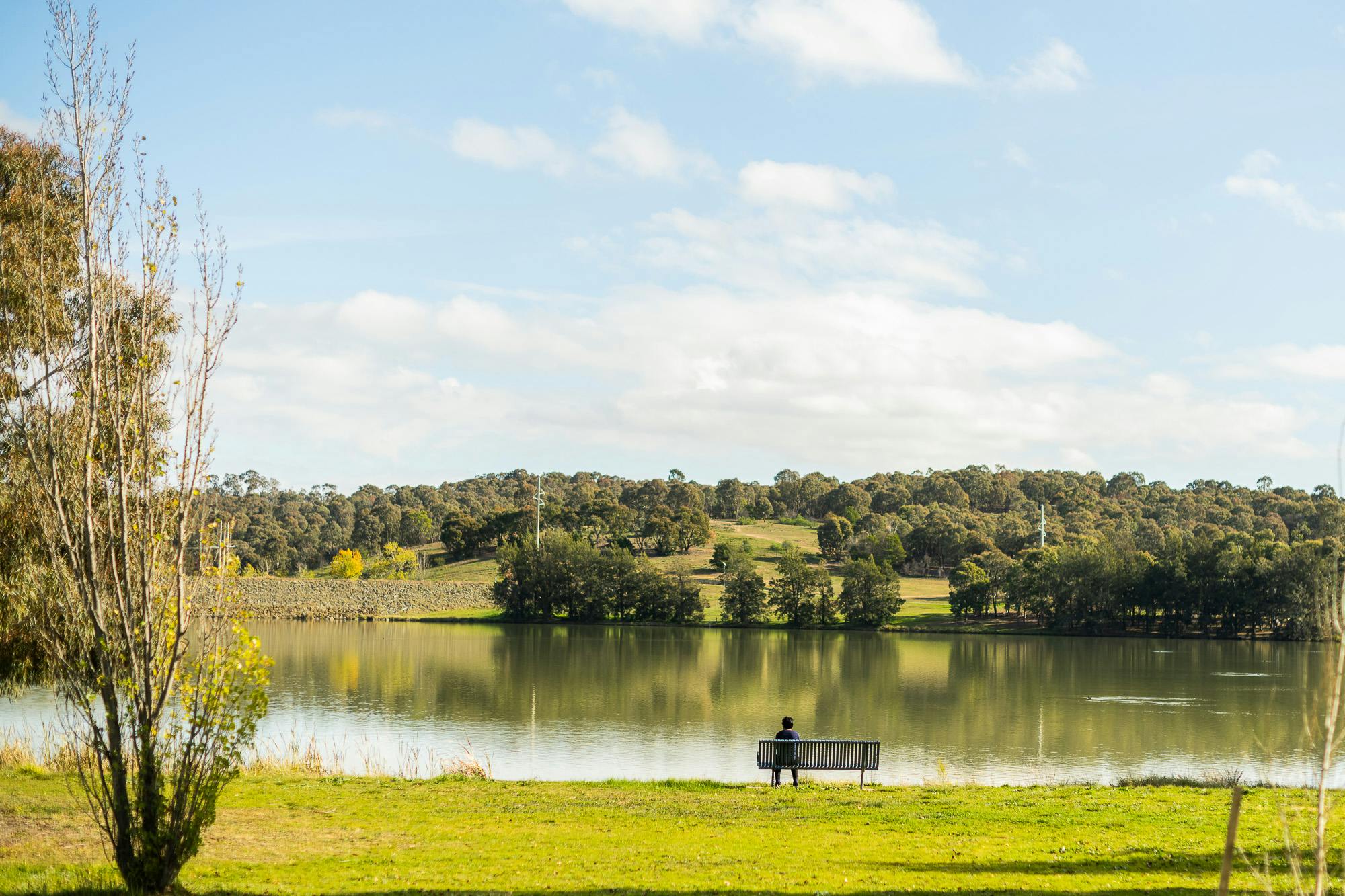 Gungahlin Pond