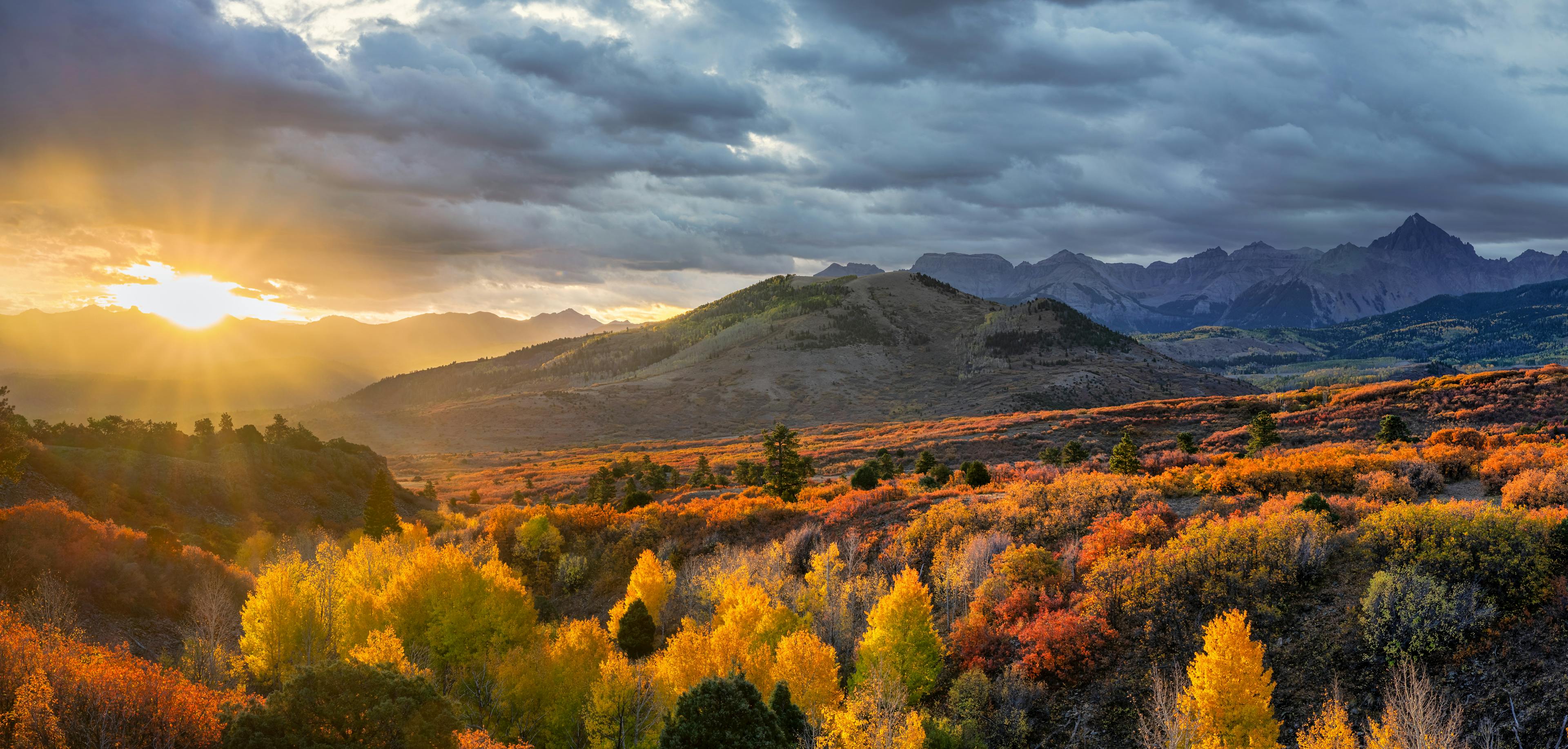 Sunny Mountain Scene
