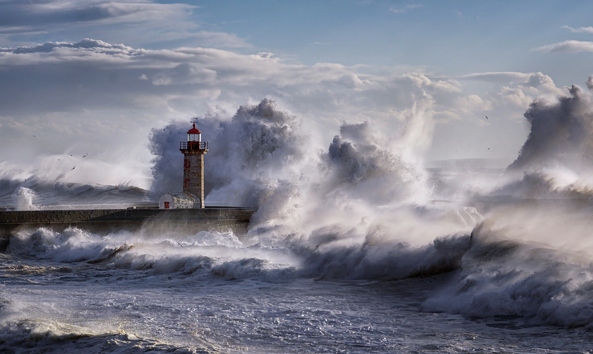 Navigating Complexity, Criticism and Carbon Credits Cover