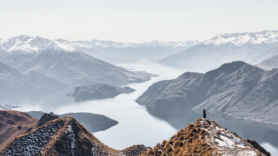 Fairly Contributing to Global Net-Zero