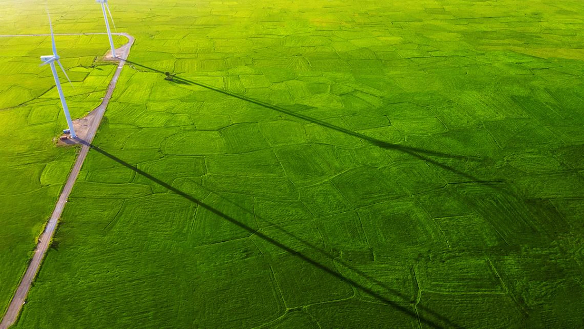 Wind turbines in a green field