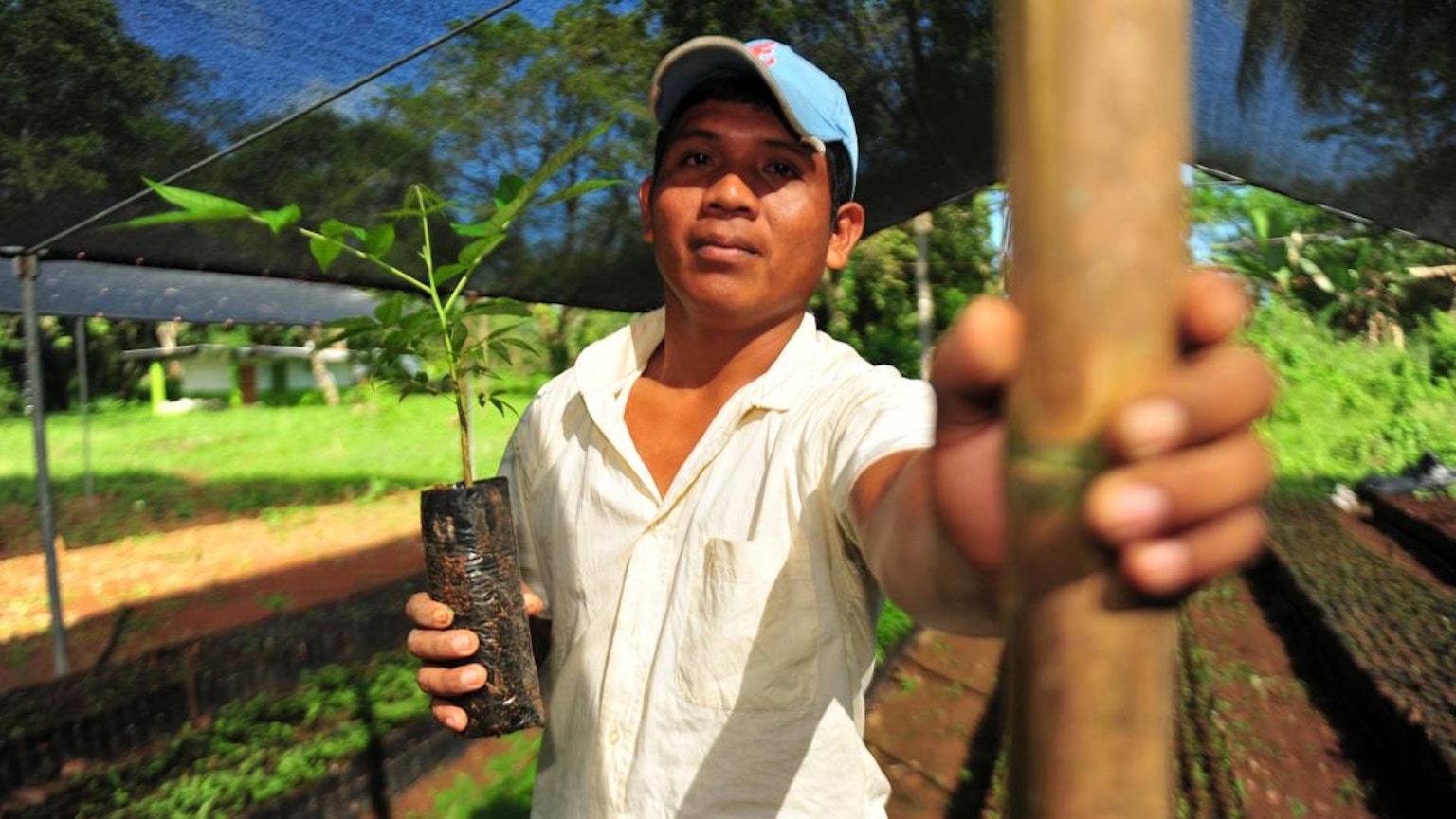 fairtrade carbon credits