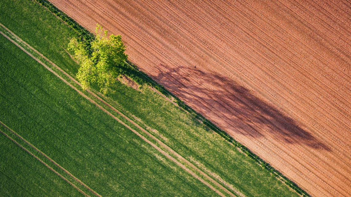 Enhancing Carbon Stocks in Managed Pasture