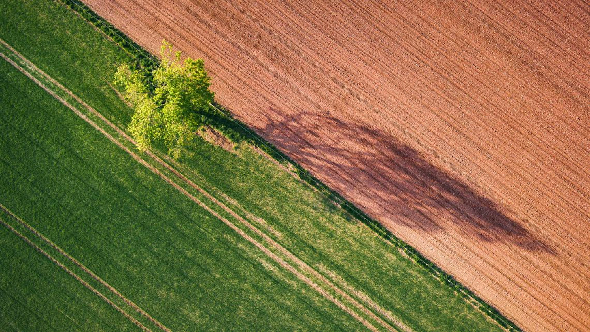 Enhancing Carbon Stocks in Managed Pasture