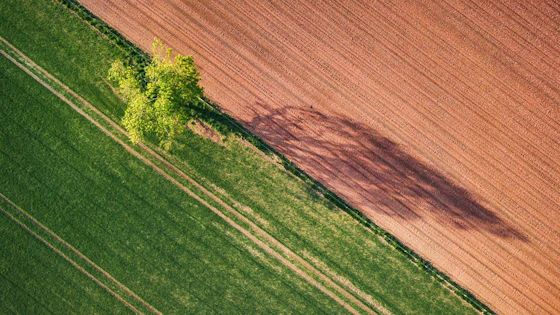Enhancing Carbon Stocks in Managed Pasture